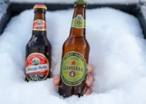 cerveja congelada