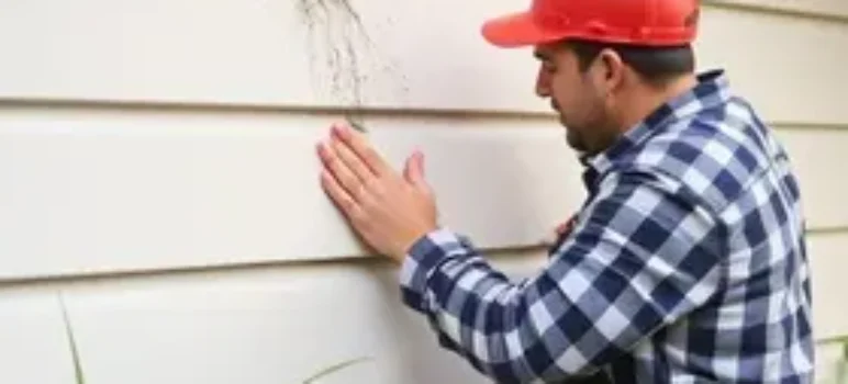 ajustes rápidos para deixar a casa pronta para visitas