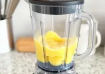 como limpar o liquidificador