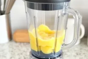 como limpar o liquidificador