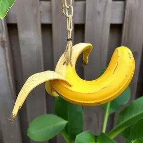 reaproveitar a casca de banana