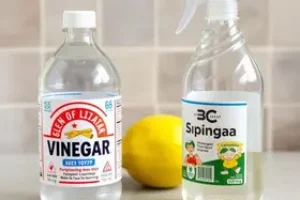truques de limpeza com vinagre