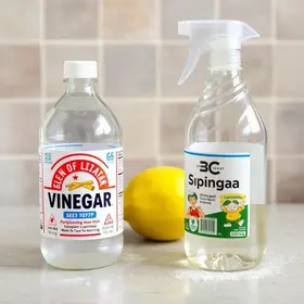 truques de limpeza com vinagre