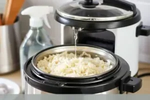 como limpar panela elétrica de arroz