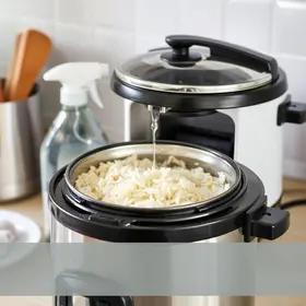 como limpar panela elétrica de arroz