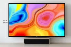 tamanho ideal da TV