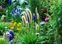 jardim sensorial