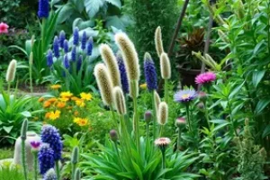 jardim sensorial